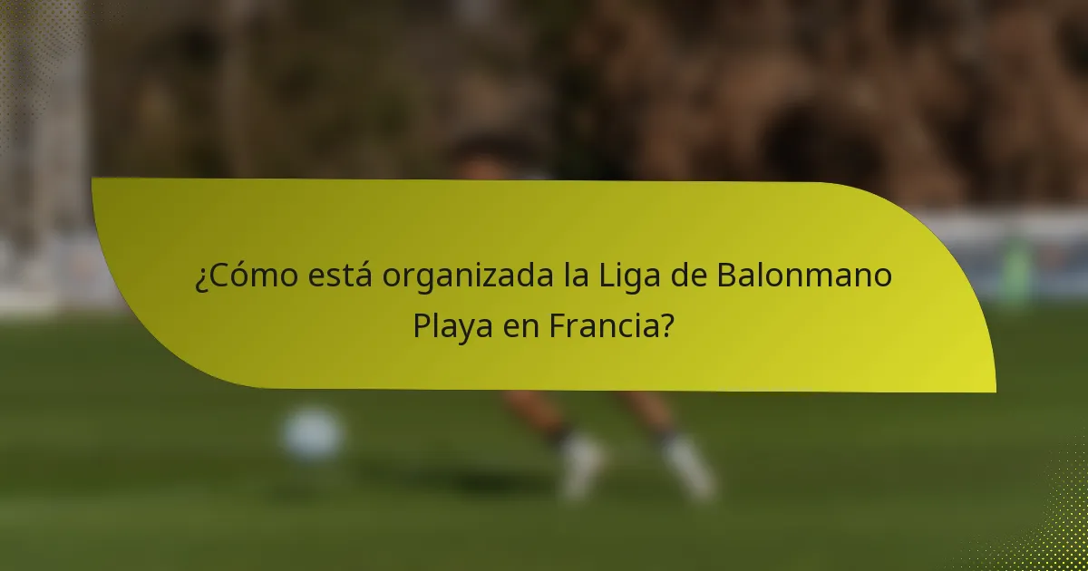 ¿Cómo está organizada la Liga de Balonmano Playa en Francia?