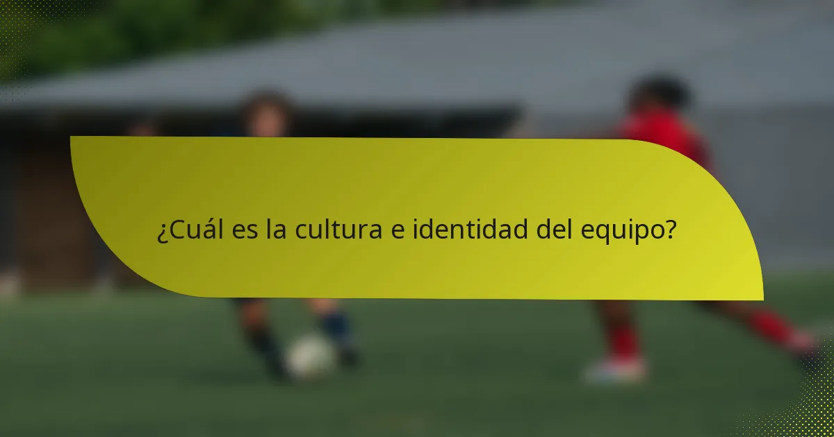 ¿Cuál es la cultura e identidad del equipo?