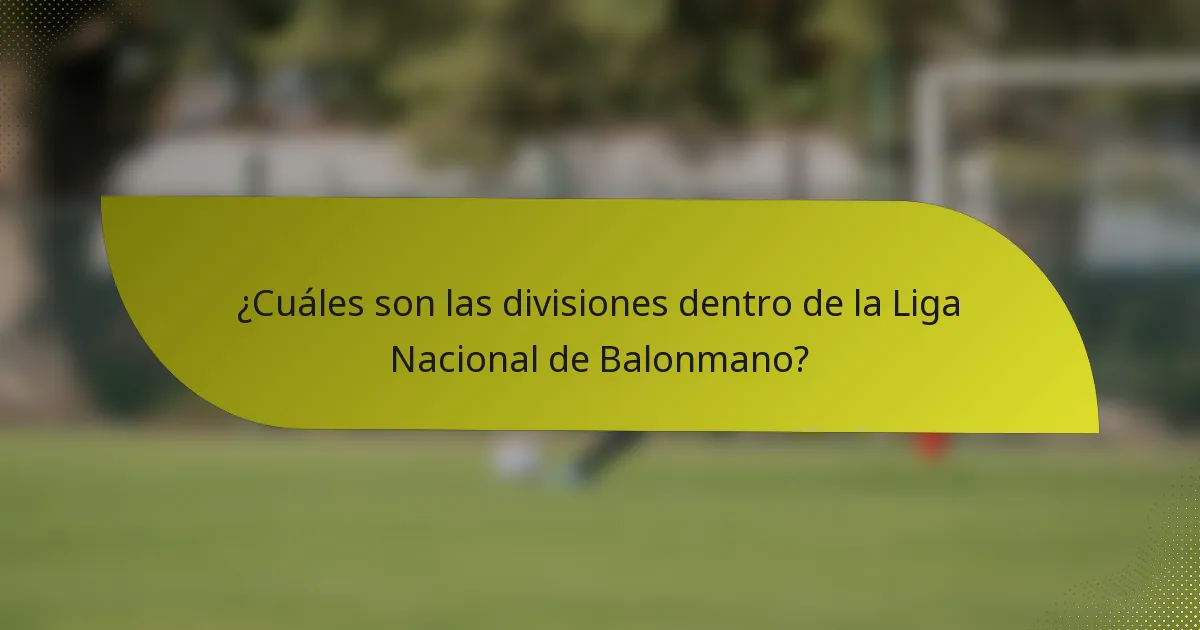 ¿Cuáles son las divisiones dentro de la Liga Nacional de Balonmano?