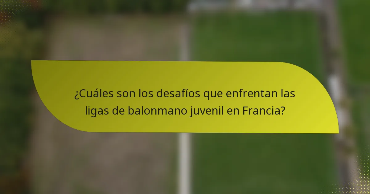 ¿Cuáles son los desafíos que enfrentan las ligas de balonmano juvenil en Francia?