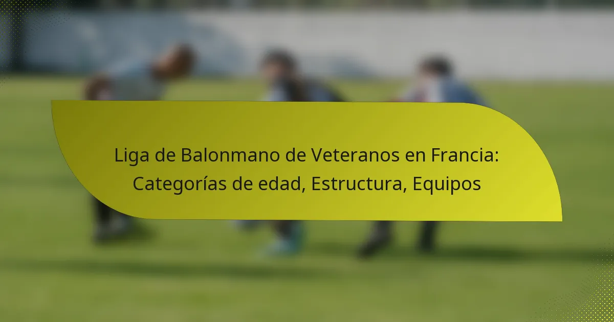 Liga de Balonmano de Veteranos en Francia: Categorías de edad, Estructura, Equipos