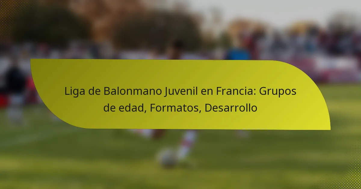 Liga de Balonmano Juvenil en Francia: Grupos de edad, Formatos, Desarrollo