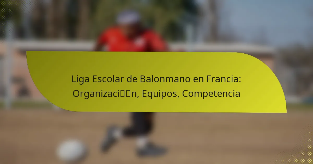Liga Escolar de Balonmano en Francia: Organización, Equipos, Competencia