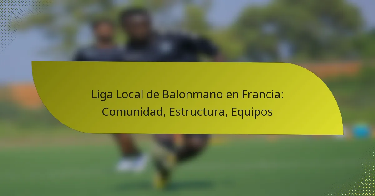 Liga Local de Balonmano en Francia: Comunidad, Estructura, Equipos
