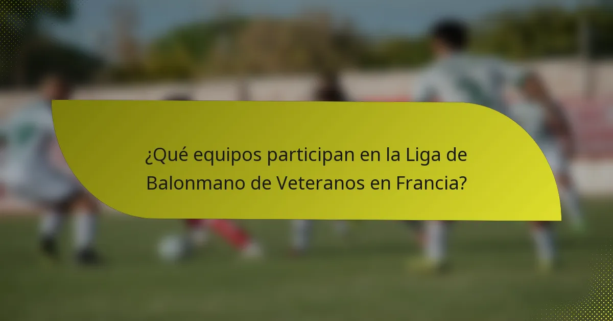 ¿Qué equipos participan en la Liga de Balonmano de Veteranos en Francia?