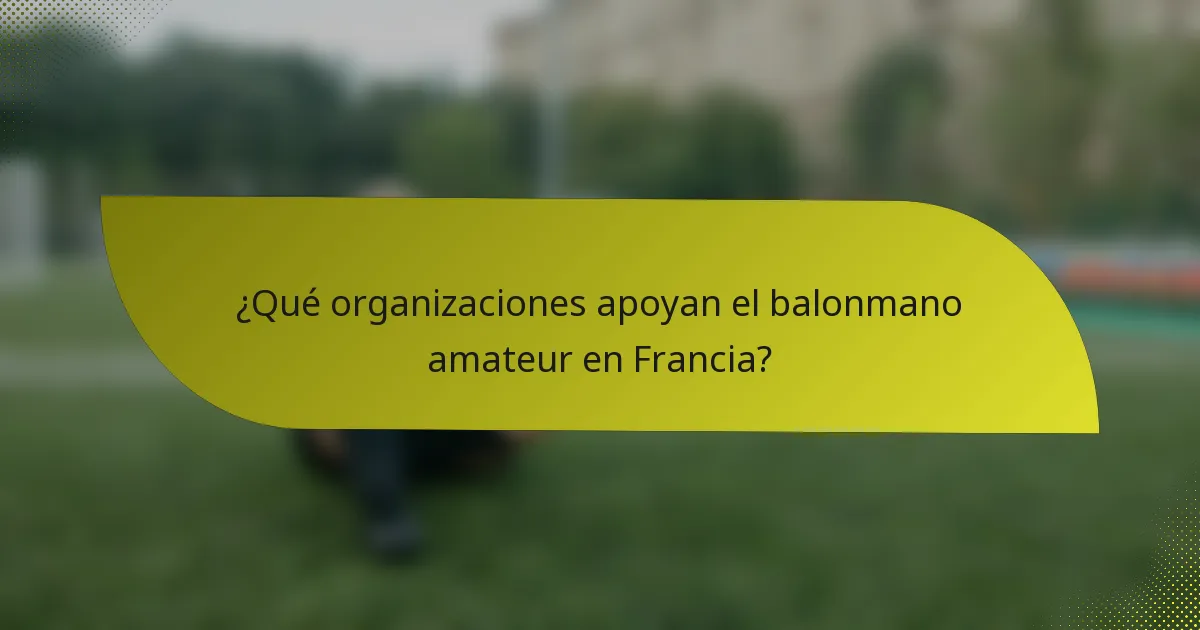 ¿Qué organizaciones apoyan el balonmano amateur en Francia?