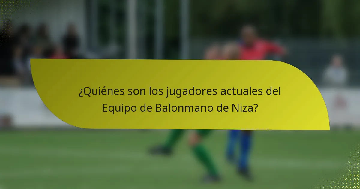 ¿Quiénes son los jugadores actuales del Equipo de Balonmano de Niza?
